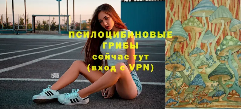 Псилоцибиновые грибы GOLDEN TEACHER  Колпашево 